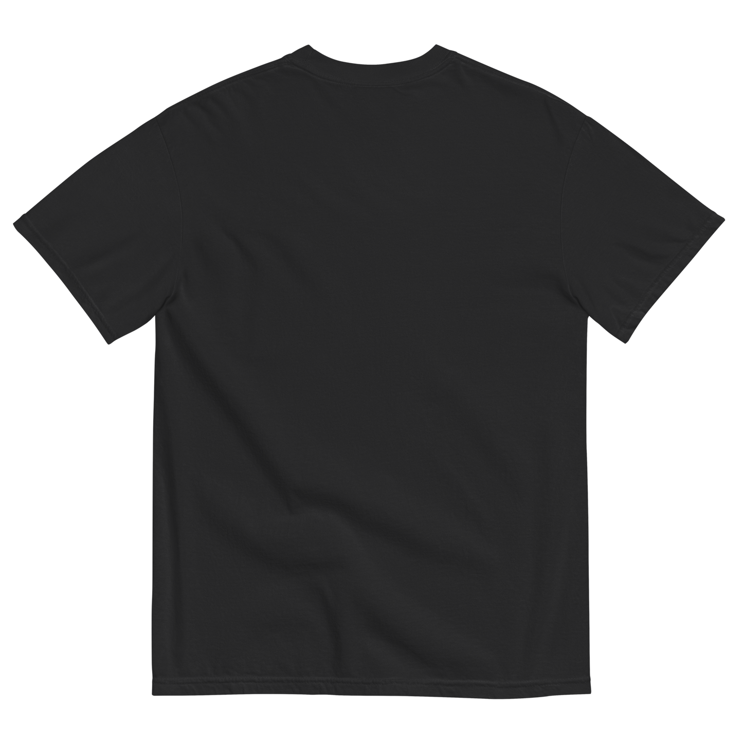 GW 23 | T-Shirt (BLACK)